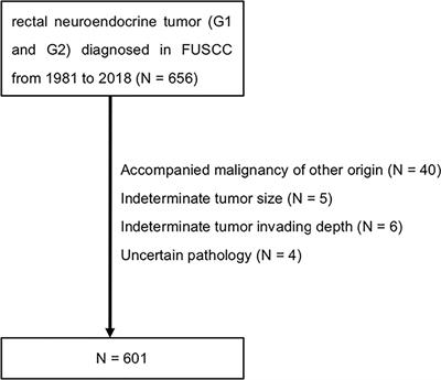 Grade G2 Rectal Neuroendocrine Tumor Is Much More Invasive Compared With G1 Tumor